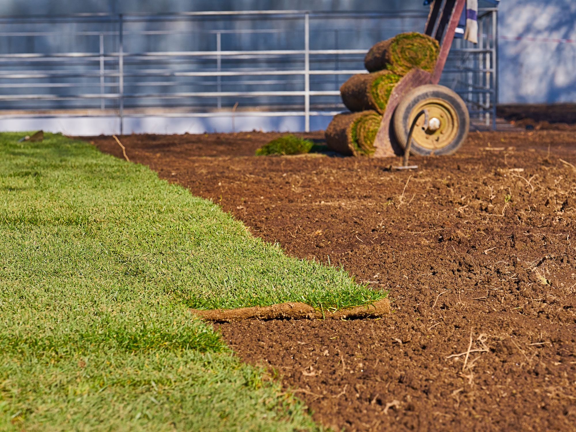 Sod Installation